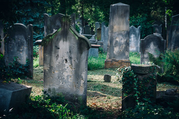 Historic Old Jewish cemetery in Wroclaw, Poland. Background for halloween design and text
