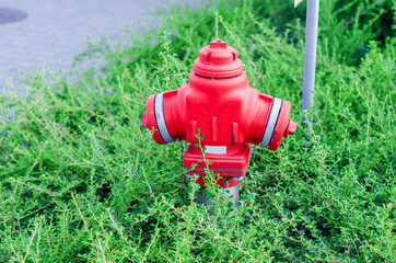 Fire crane red on the green lawn, grass, bushes, security in the city