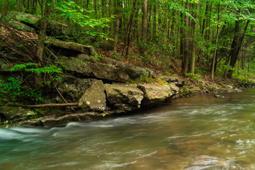 Fresh Water Stream Flowing Swiftly Over Rocky Forest Landscape