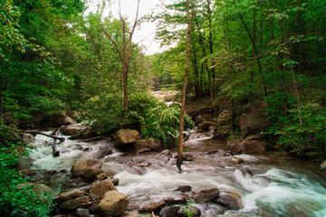 Fresh Water Stream Flowing Swiftly Over Rocky Forest Landscape