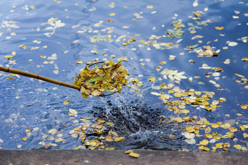 Abstract cleaning swimming pond in the park from fallen leaves with special mesh, skimmer, autumn. Colorful nostalgic background, seasonal mood concept © svetlanais