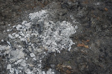 Cold coals and ash from firewood on earth