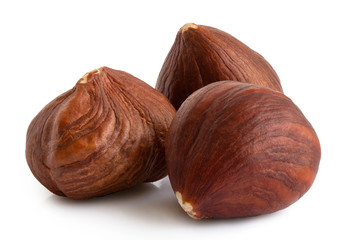 Three hazelnuts with skin isolated on white. Closeup.