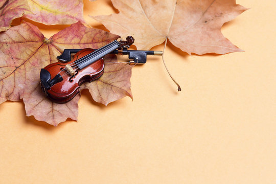 Miniature violin with autumn maple leaves and copy space.