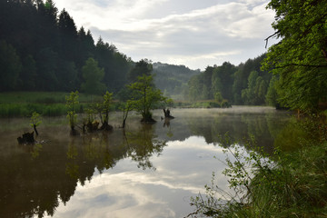 Kokorinsko pond on the stream Psovce