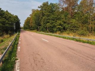 Empty road and autumn foliage near Mariehamn, Aland, Finland