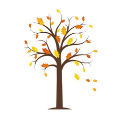 autumn tree with yellow and orange fallen leaves isolated on a white background