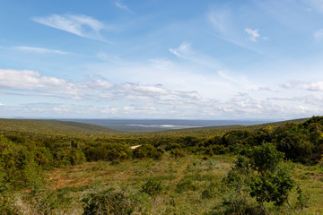 Lookout point over the field full of green grass and trees