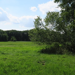 lonely landscape, of course, mecklenburg-western pomerania, loitz, demmin
