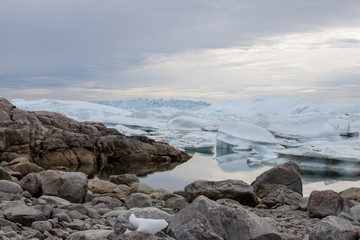 Obraz premium Greenland | Ilulisat