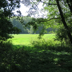 lonely landscape, of course, mecklenburg-western pomerania, loitz, demmin