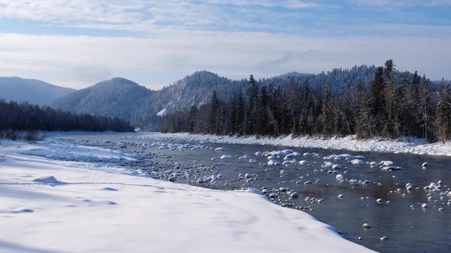 Stones with snow caps in the water of Altai Biya river  in winter season with forest on background