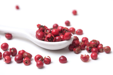 closeup of Red peppercorn aroma condiment in porcelain spoon on white background