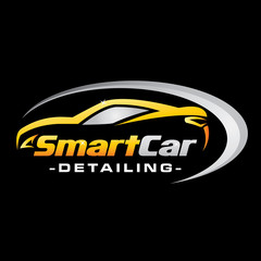 Car Detailing Logo Inspiration  Vector