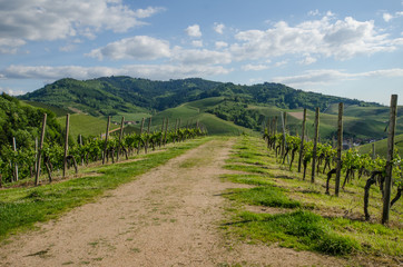 Schloss Staufenberg Durbach Weinberge