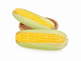 fresh sweet corn in bamboo basket and on white background