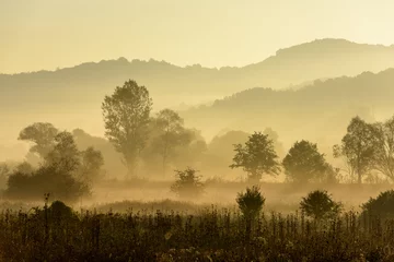 Abwaschbare Fototapete Honigfarbe Magische Herbstlandschaft mit Sonnenstrahlen am Morgen. Vintage Landschaften. Kein Effektfilter.