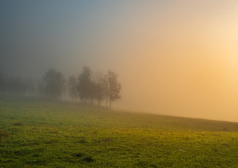 Obraz na płótnie Canvas Misty foggy sunrise field with trees