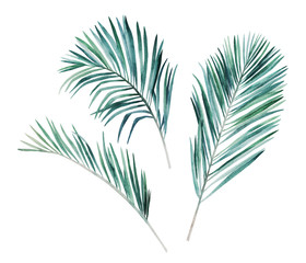 Fototapeta premium Watercolor leaves set. Hand drawn illustration. Isolated image