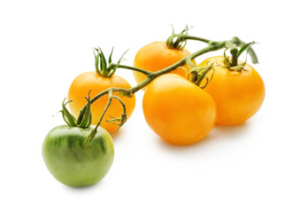 Fresh yellow tomatoes on white background