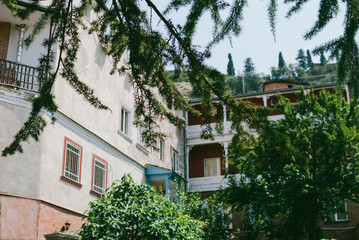Old houses of Tbilisi seen through the branches of fir trees
