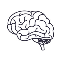 Human brain symbol