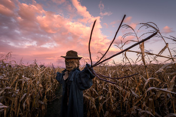 Scary scarecrow in a hat on a cornfield in orange sunset background. Halloween holiday concept