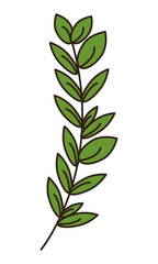 Palm sunday symbol