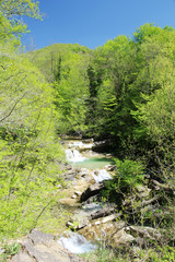 A mountain river Janet, Gelendzhik, Russia