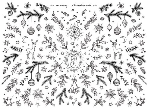 Hand sketched floral design elements for Christmas
