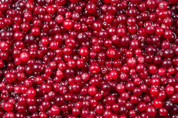 Cranberry. Cranberry background. Cranberries in water. Food background.