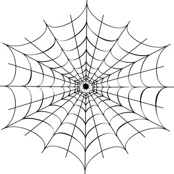 Decorative spider web