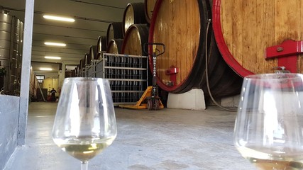 Calice di vino bianco e botti di vino