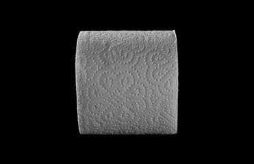 Toilet paper roll isolated on black background, clipping path