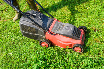 mowing the grass, mowing the lawn with lawnmower