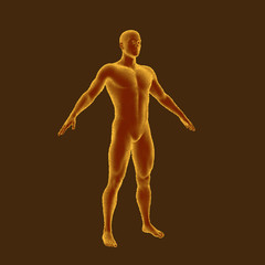 Fototapeta na wymiar Standing man. Isolated on brown background. Vector illustration.