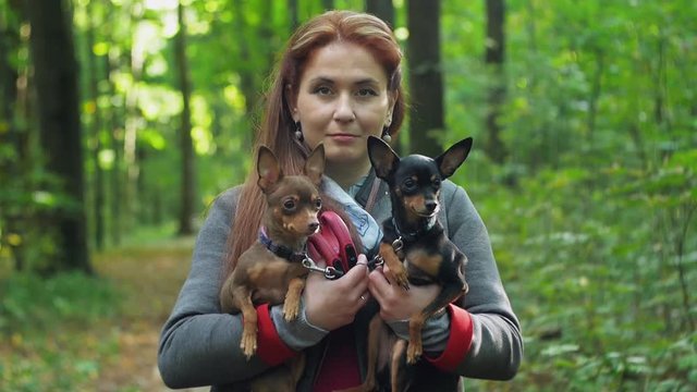 Woman with two small dogs on a hand look at the camera