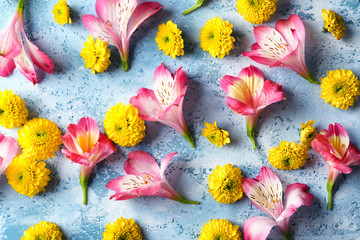 Beautiful blooming flowers on color table