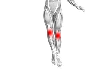 Conceptual knee human anatomy with red hot spot inflammation or articular joint pain for leg health care therapy or sport muscle concepts. 3D illustration man arthritis or bone osteoporosis disease