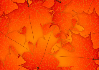 Red autumn maple leaves. Illustration. Autumn leaves background