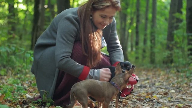 a woman in the woods squatting caresses two small dogs.
