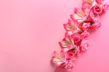 Beautiful blooming flowers on color background