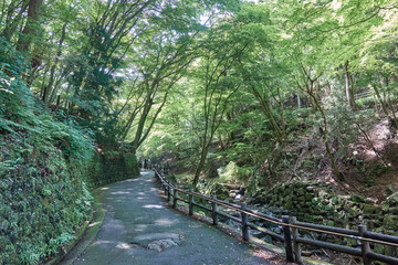 養老の滝への道