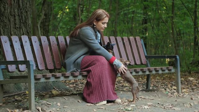 woman sitting on a bench in the woods stroking two small dogs