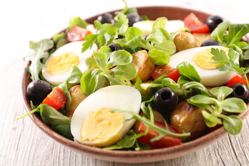 mixed vegetable salad with egg