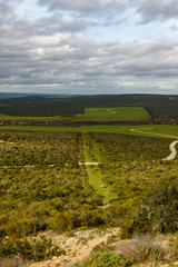 Lookout over the green bush field with patches