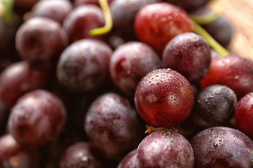 Ripe sweet grapes, closeup