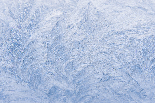 Eisblume 3