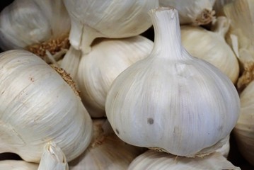 Close-up of fresh garlic