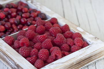 fresh red raspberries and cranberries in a white wooden vintage crate